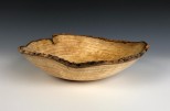 Ash burl #52-39 (11.75" wide x 3.25" high SOLD) VIEW 1