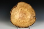 Ash burl #52-39 (11.75" wide x 3.25" high SOLD) VIEW 3
